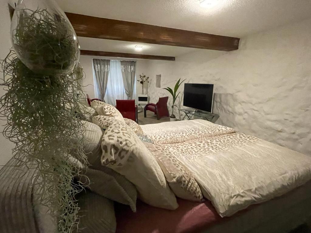 Apartment Escape Private Ii Bad Zurzach